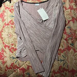 1 Zara Metallic Pink Blouse